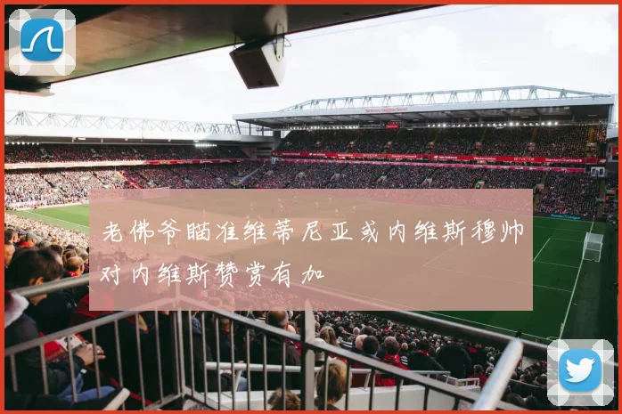 老佛爷瞄准维蒂尼亚或内维斯穆帅对内维斯赞赏有加